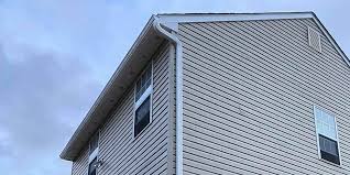 Best Fascia and Soffit Installation  in Carrollton, IL